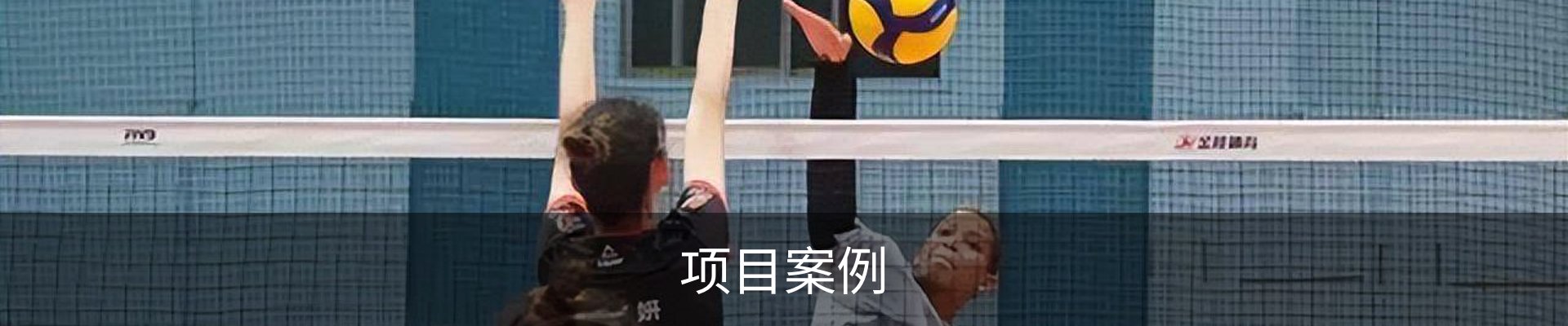 项目案例